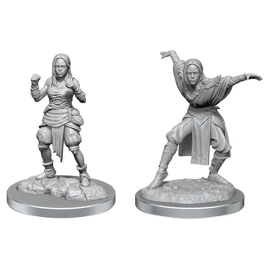 Pathfinder Deep Cuts - Female Half-Elf Monk